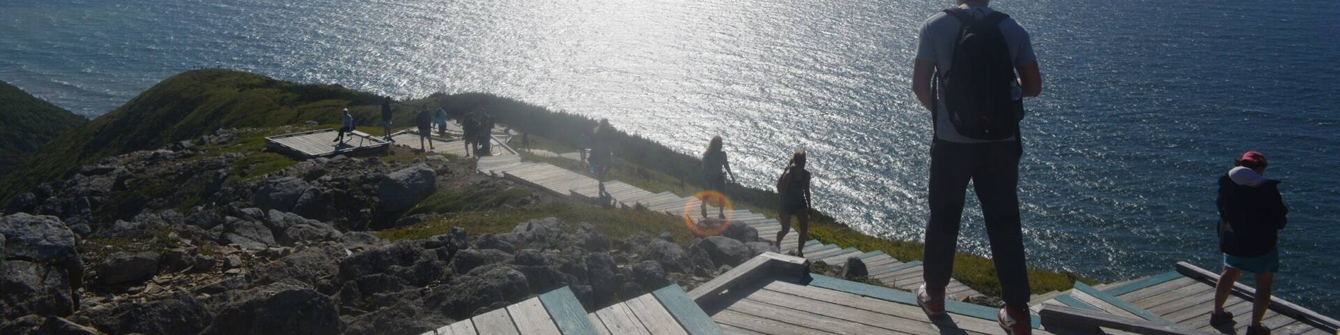 Skyline Trail ...top of the world