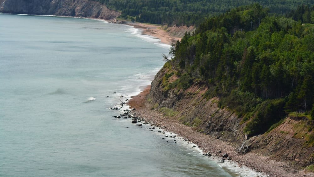 A coastal landscape with a rocky shoreline, dense forest, and a clear view of the ocean.