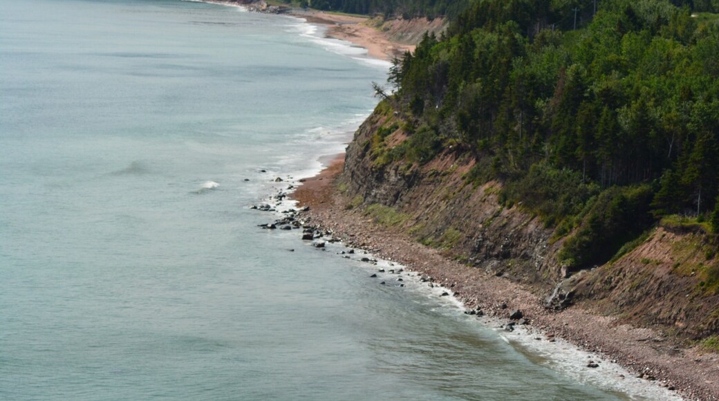View from the top of Smokey Mountain