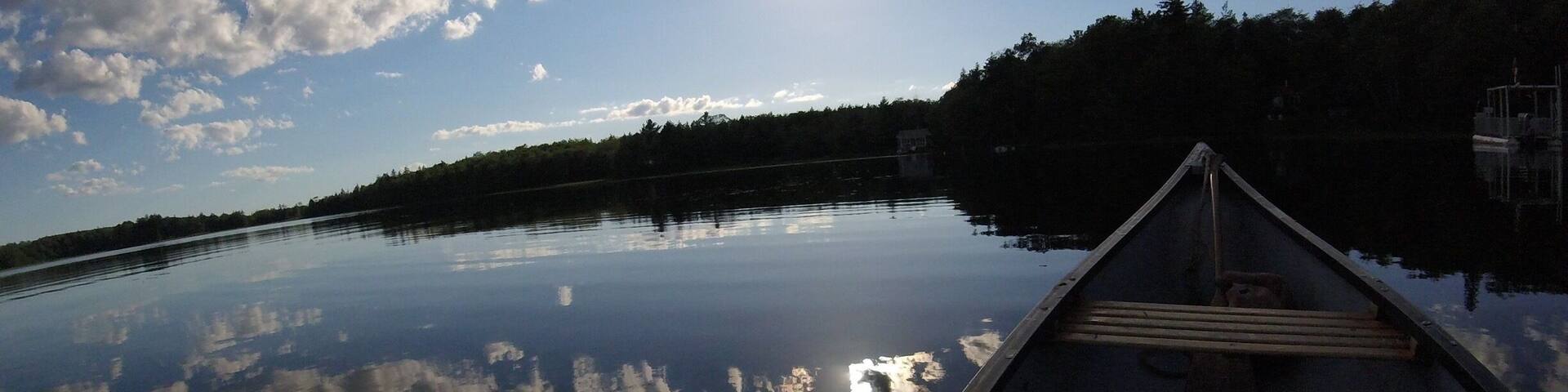A calm lake with a canoe in the foreground and a forested shoreline in the background.