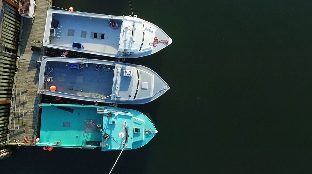 Fishing boats in the harbour at the Caribou-Wood Islands ferry terminal in Caribou, NS.