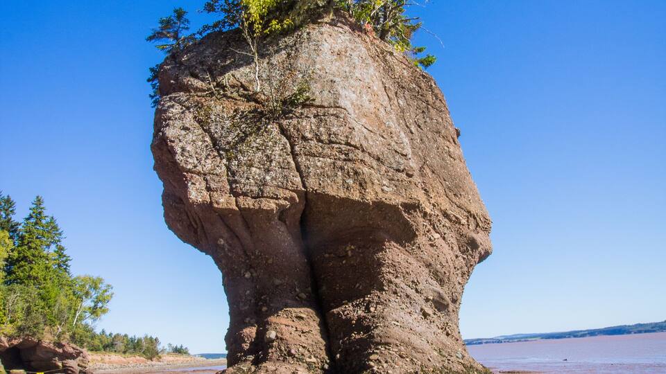 A large rock formation with a tree growing on top, surrounded by a beach and clear blue sky.