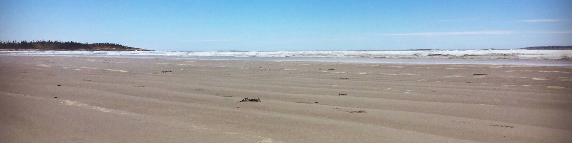 I always seem to have this beach to myself - just me, my dog, and some clams! #EndlessSummer