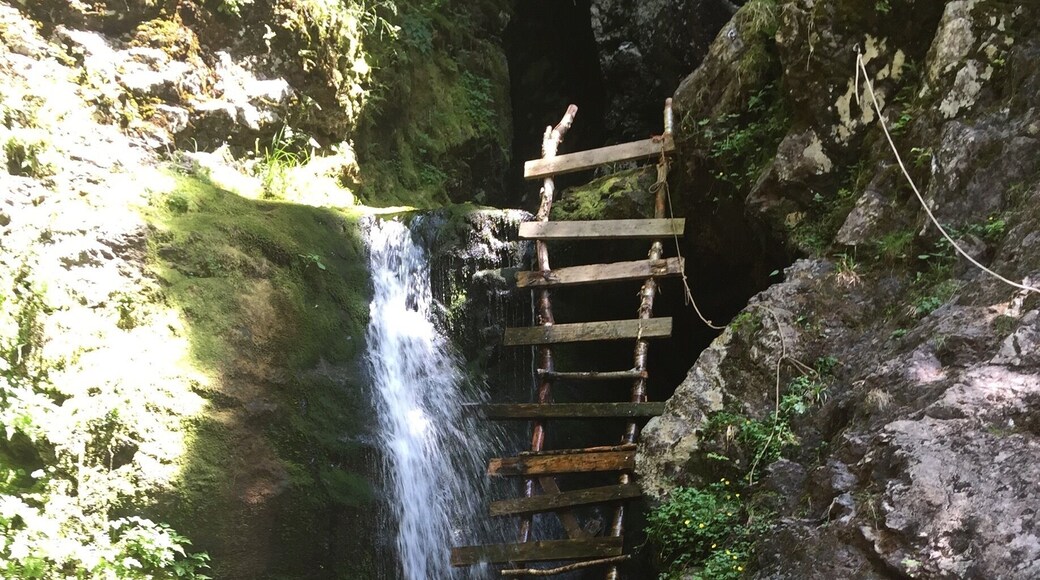 Nice little hike to this set of falls.. if you climb up the ladder it takes you to a small pool and another set of falls ...
