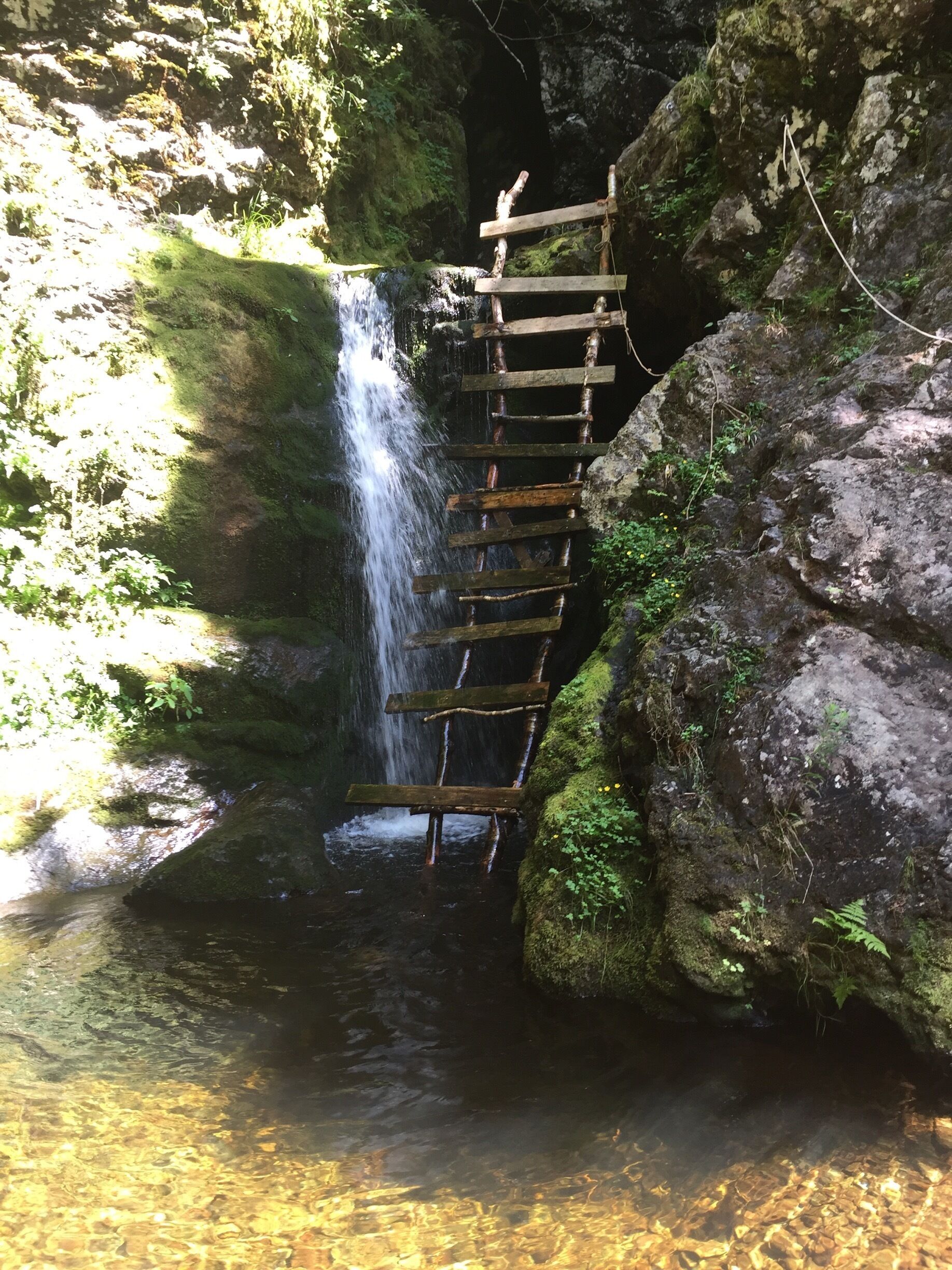 A wooden ladder leading to a waterfall in a forested area.