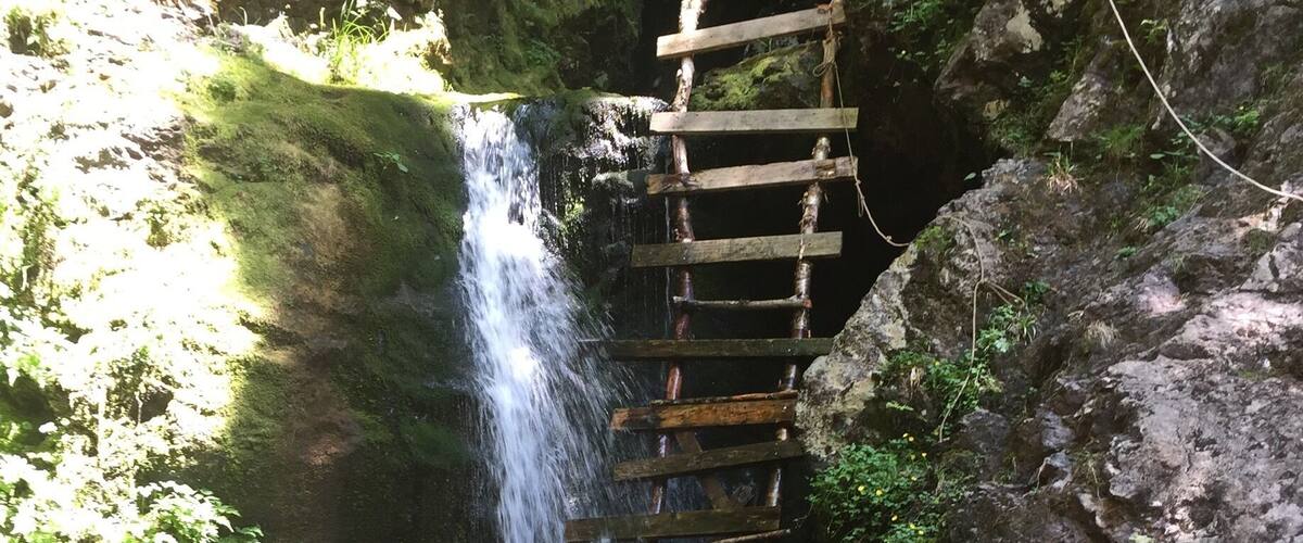 A wooden ladder leading to a waterfall in a forested area.