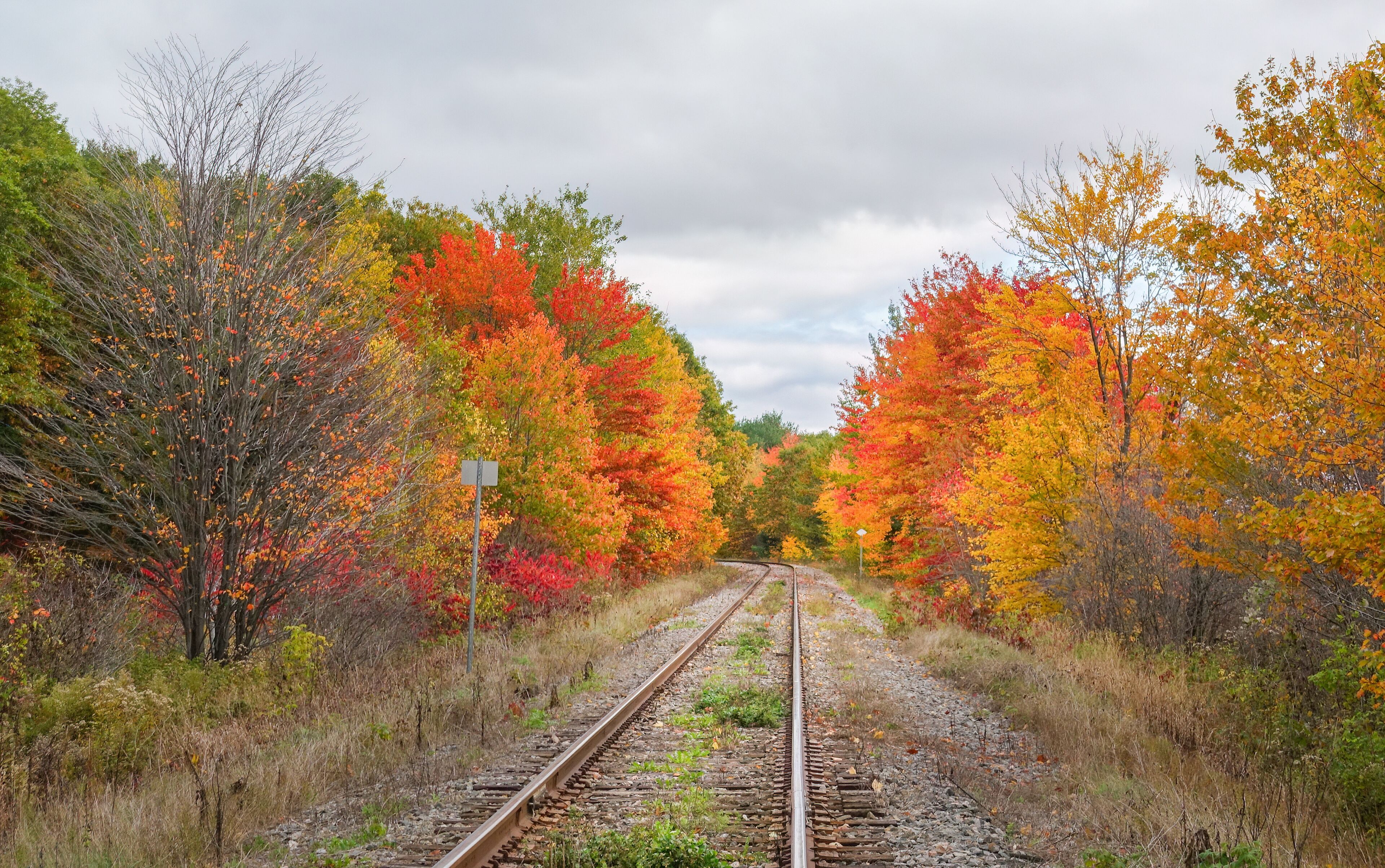 Single-track railway among autumn trees in Quebec, Canada.