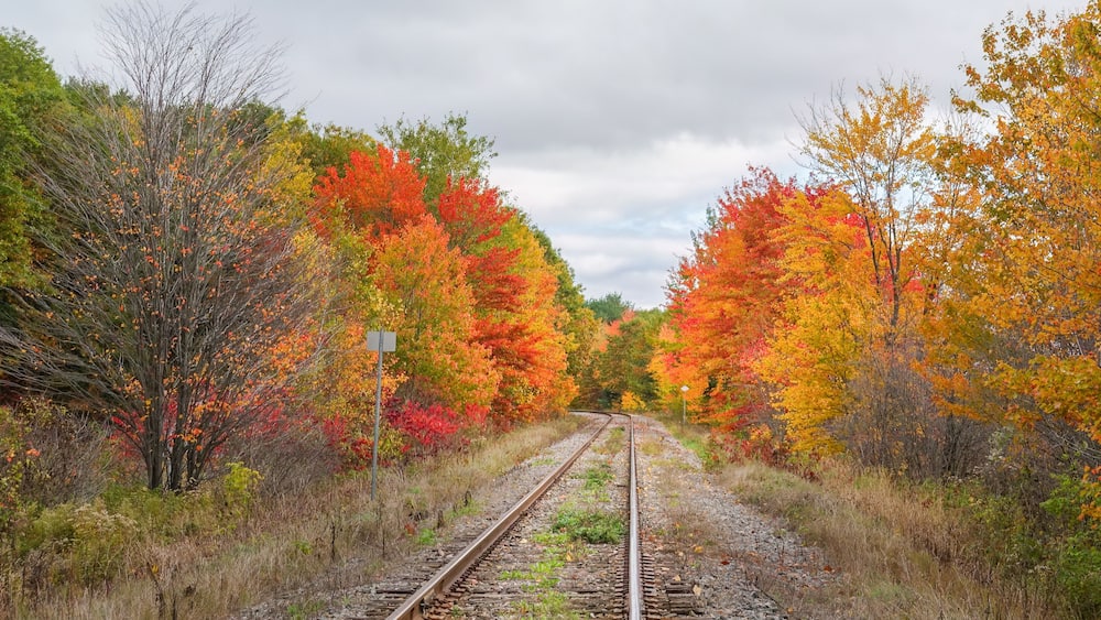 Single-track railway among autumn trees in Quebec, Canada.