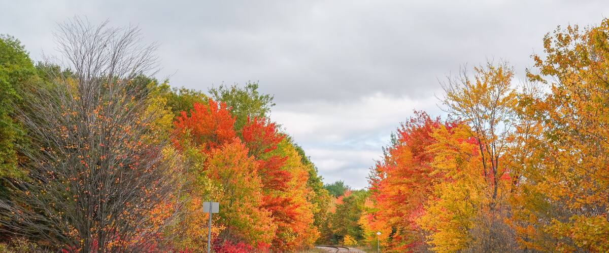 Single-track railway among autumn trees in Quebec, Canada.