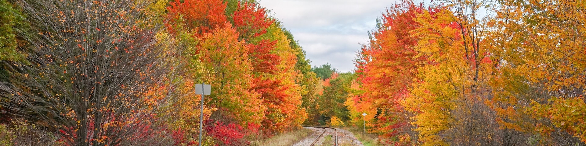 Single-track railway among autumn trees in Quebec, Canada.