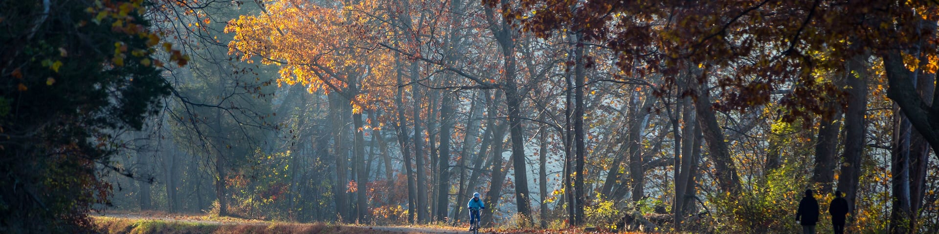 Fall Colors C&O Canal