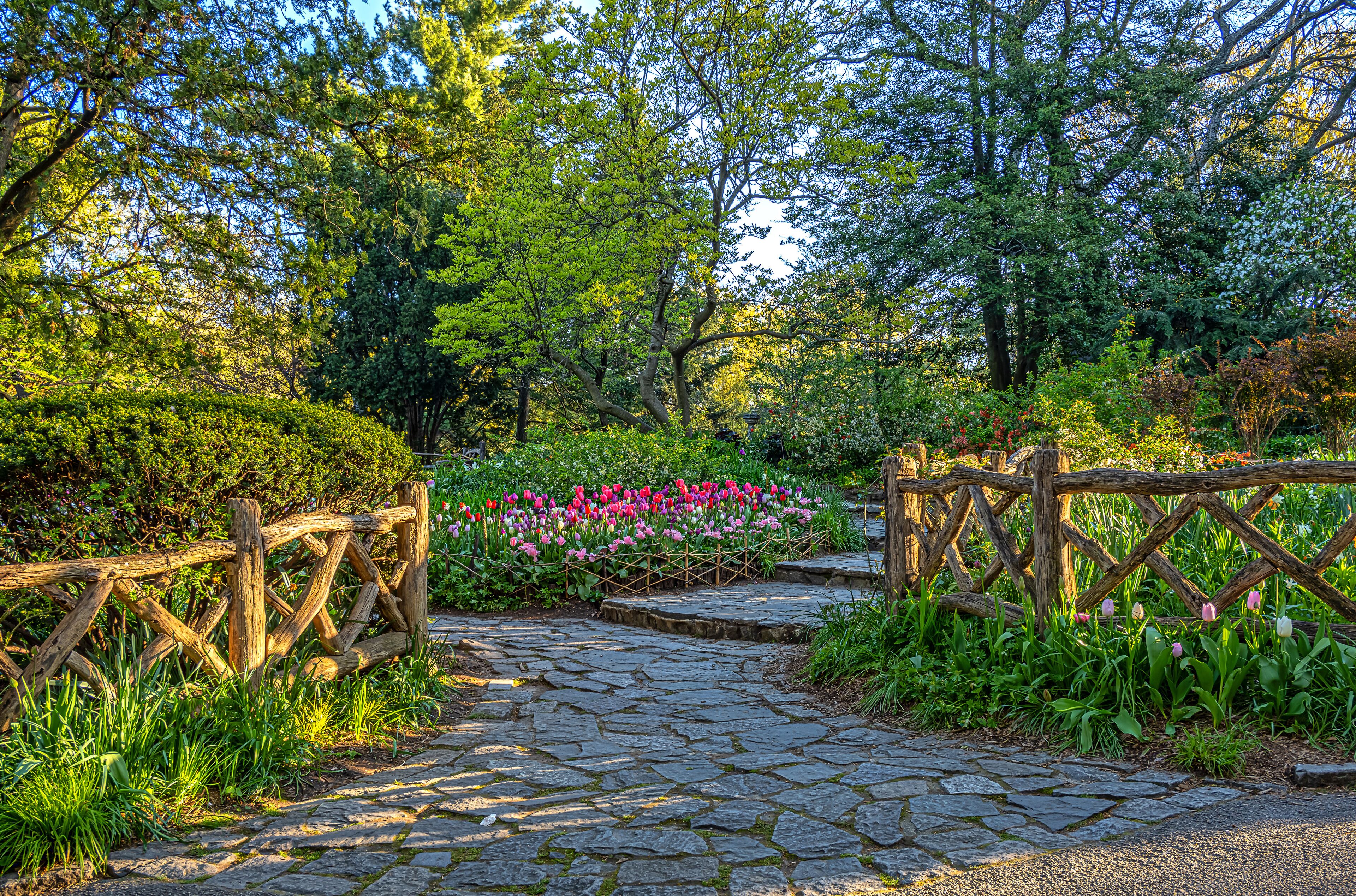 フローラル パーク