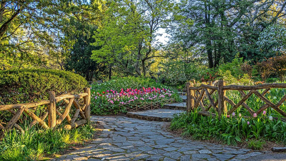 Central Park in spring,Shakespeare Garden