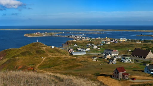 A coastal village with houses, a lighthouse, and a bay.