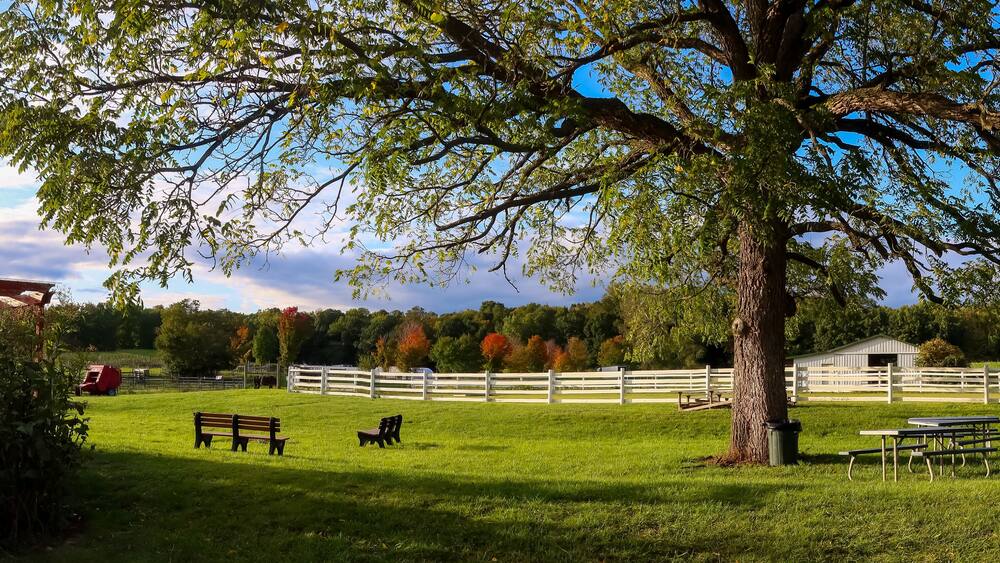 Scenic Michigan state university (MSU) tollgate farm in Novi, Michigan during autumn time panoramic view.