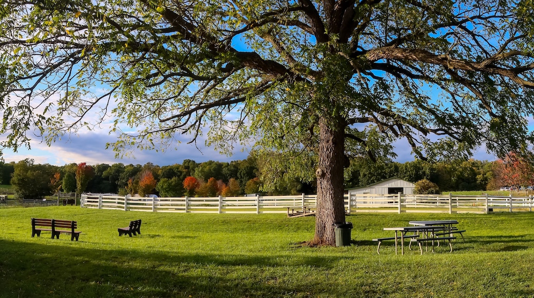 Scenic Michigan state university (MSU) tollgate farm in Novi, Michigan during autumn time panoramic view.