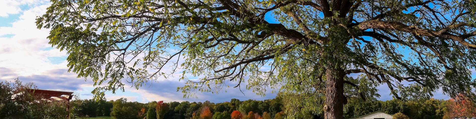 Scenic Michigan state university (MSU) tollgate farm in Novi, Michigan during autumn time panoramic view.
