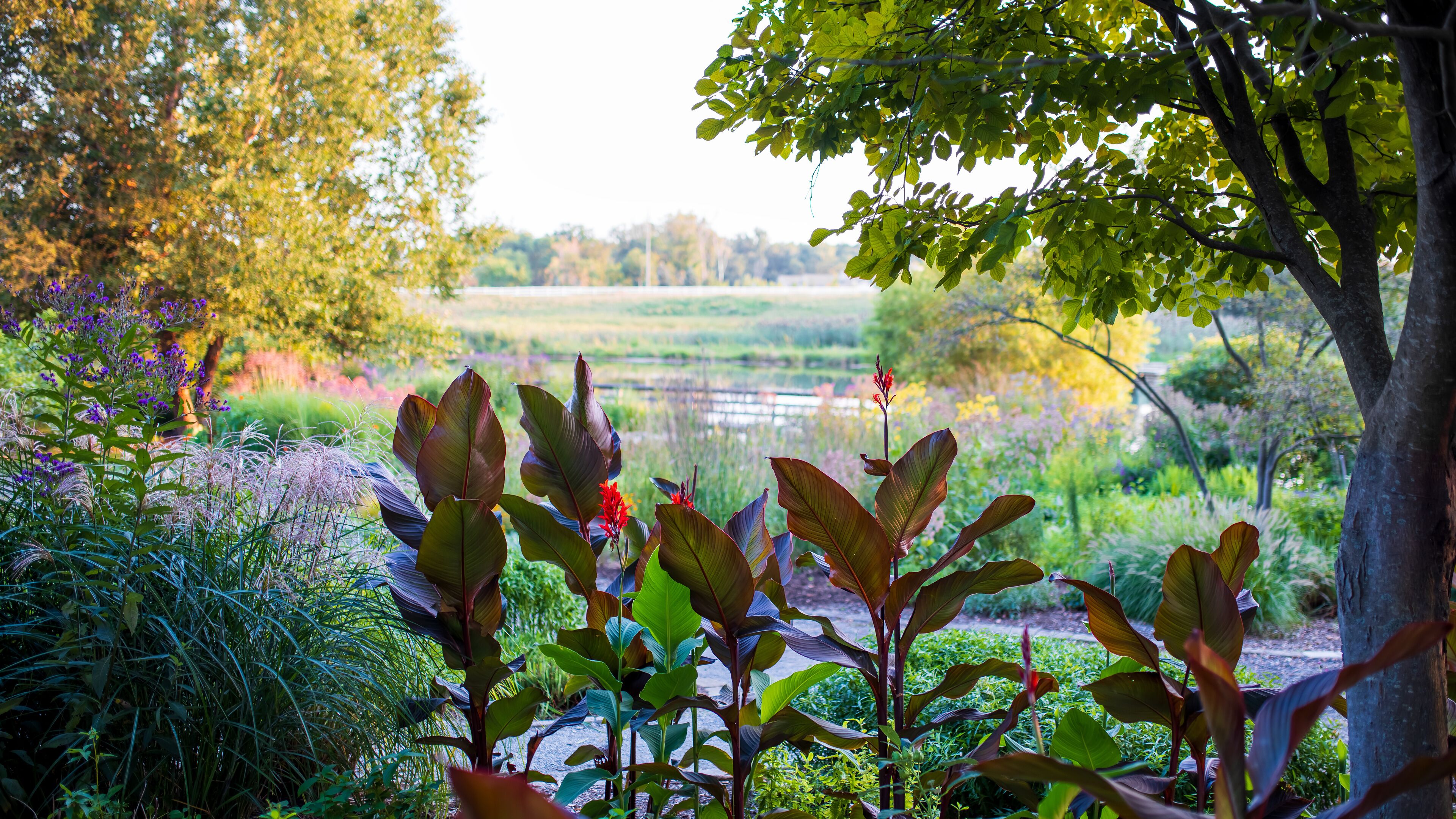 Scenic Michigan state university tollgate farm in Farmington Hills , Michigan