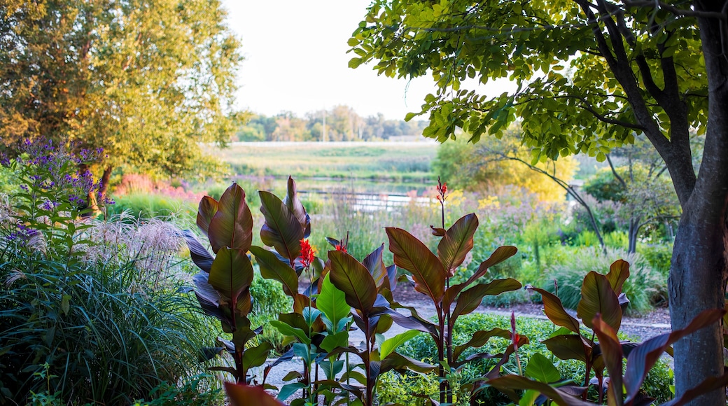 Scenic Michigan state university tollgate farm in Farmington Hills , Michigan