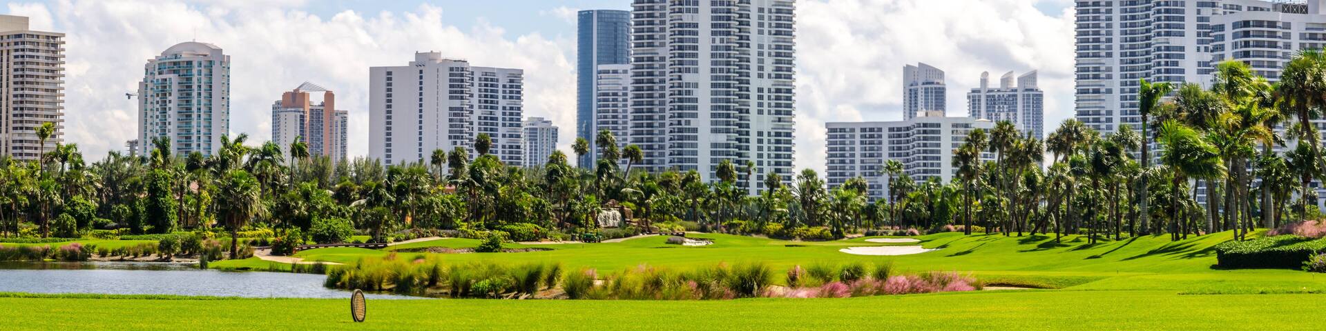 Aventura Skyline - Ocean Three, Parc at Turnberry, Marina Tower, Trump Grande, Mystic Pointe, Parc Central, Millenium Condominium