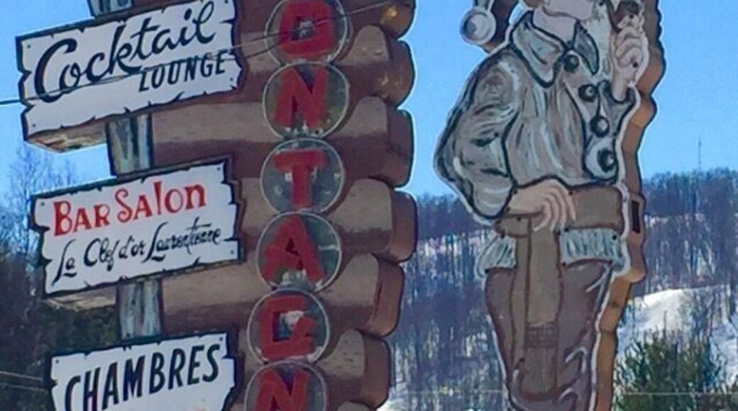 Ein hölzernes Schild mit 'HOTEL' oben, 'LE MONTAGNE' in der Mitte und 'Cochon Lounge', 'Bar Salon' sowie 'CHAMBRES' an den Seiten.