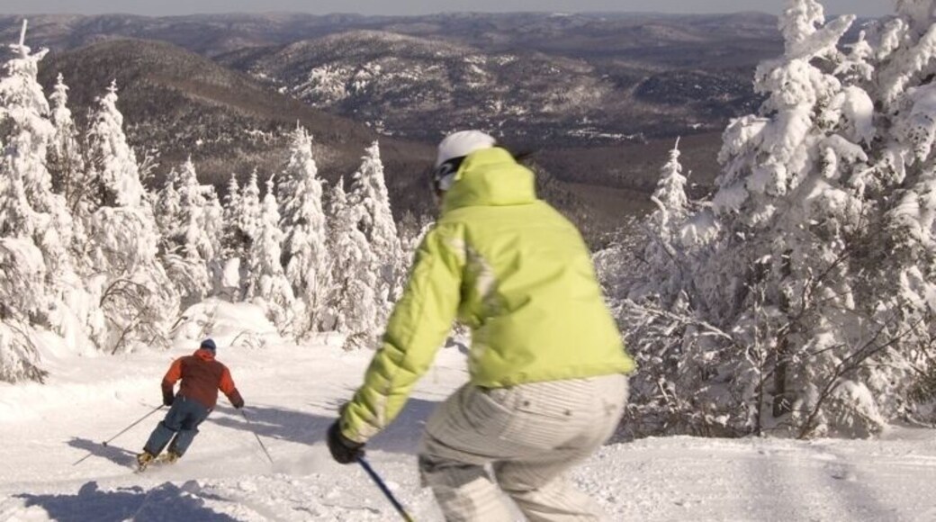 Ein Skifahrer in einer gelben Jacke fährt einen verschneiten Hang hinab, im Hintergrund sind schneebedeckte Bäume und eine Berglandschaft zu sehen.