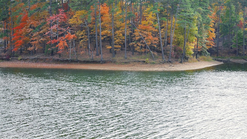 A lake surrounded by trees with autumn foliage.