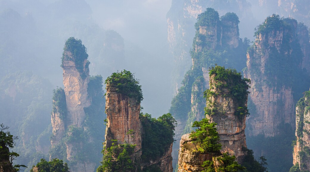 Fog slowly dissolves due to the warmth of the rising sun in the spectacular landscape with eroded irregularly shaped sandstone pinnacles, Zhangjiajie National Forest Park, Hunan province China