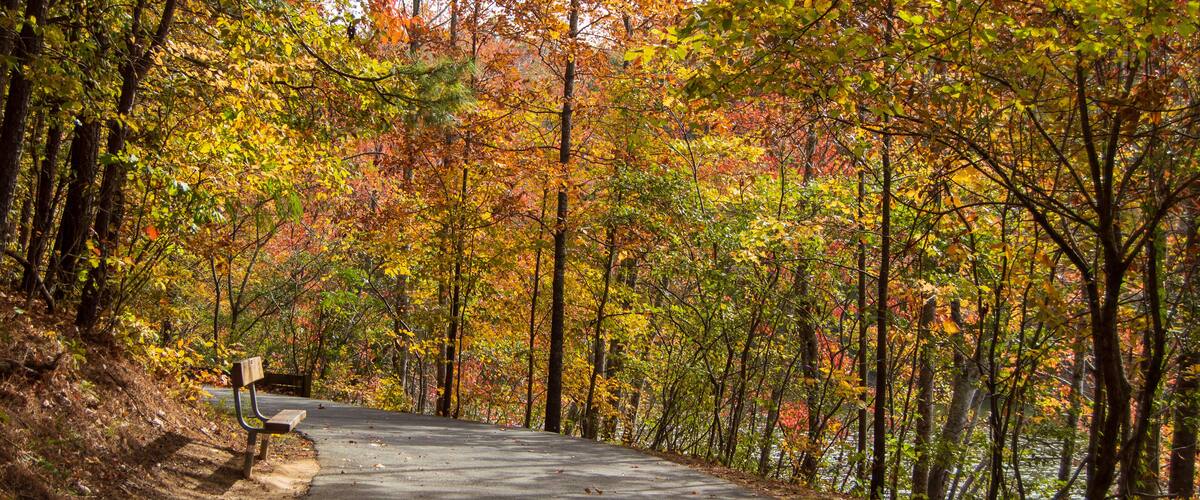 Autumn at Little Mulberry Park, GA