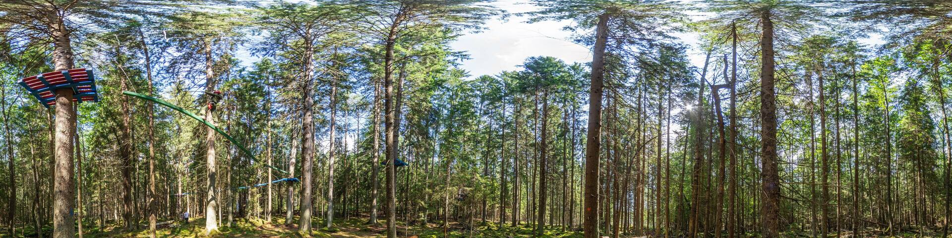 full spherical hdri panorama 360 degrees angle view in jungle park in the children's entertainment center in pinery forest in equirectangular projection. VR content