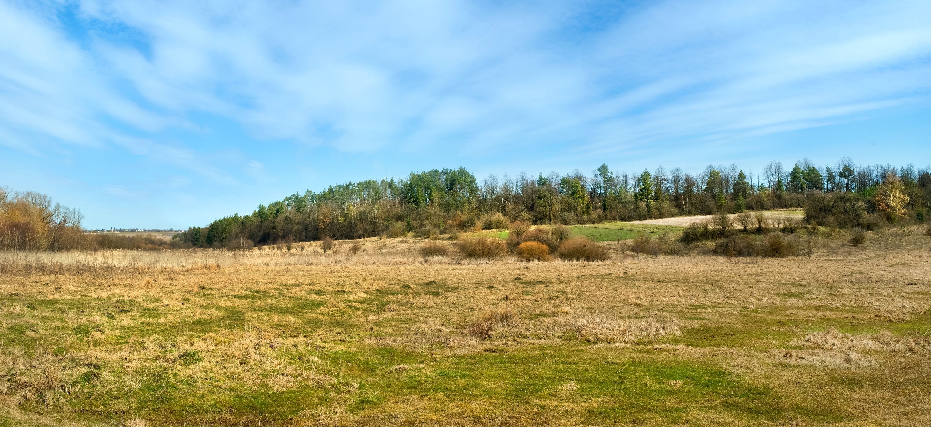 Un champ verdoyant, avec une forêt en arrière-plan et un ciel dégagé.