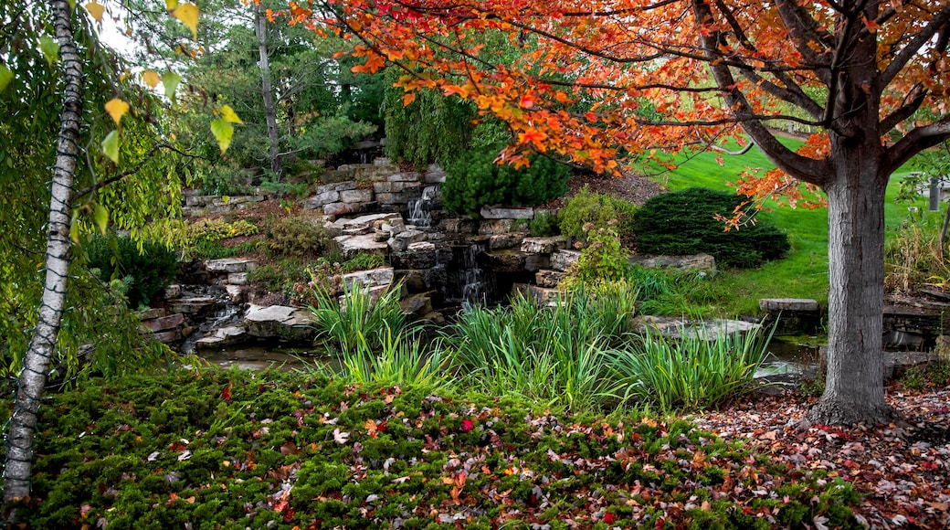 Water falls at Frederik Meijer's garden in Grand Rapids, Michigan in autumn time.