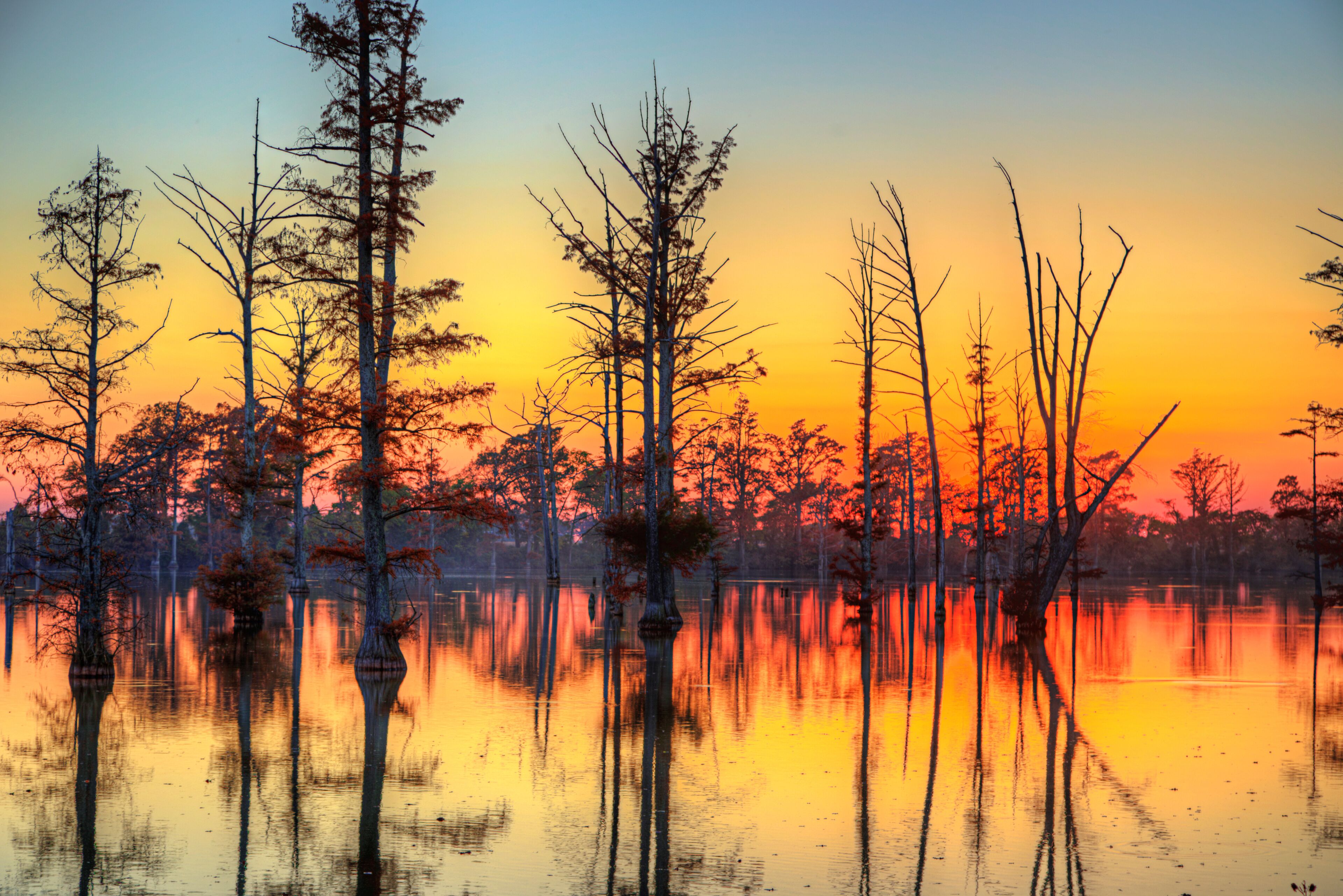 A sunset over a calm lake with tall trees reflected in the water.