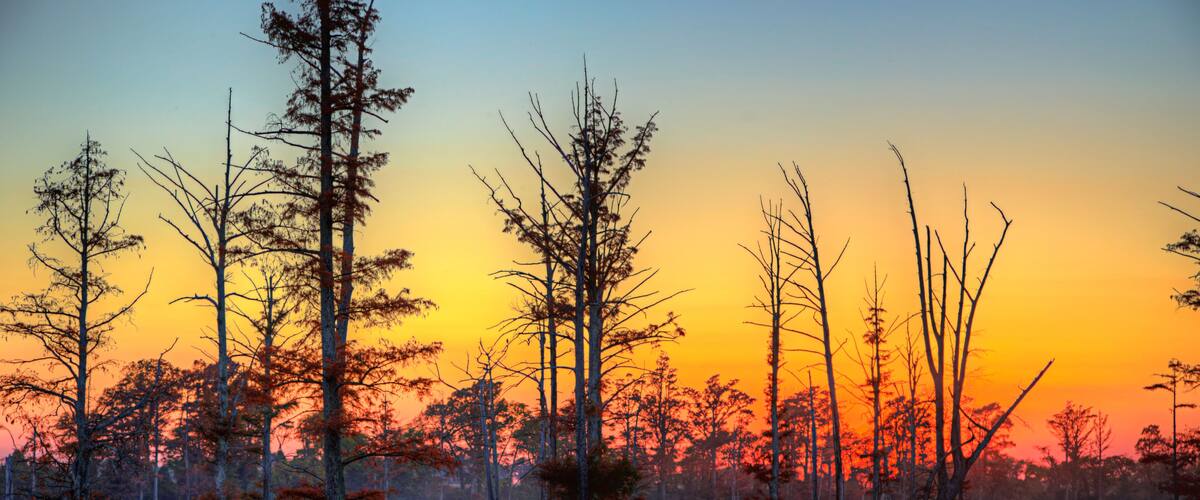 A sunset over a calm lake with tall trees reflected in the water.