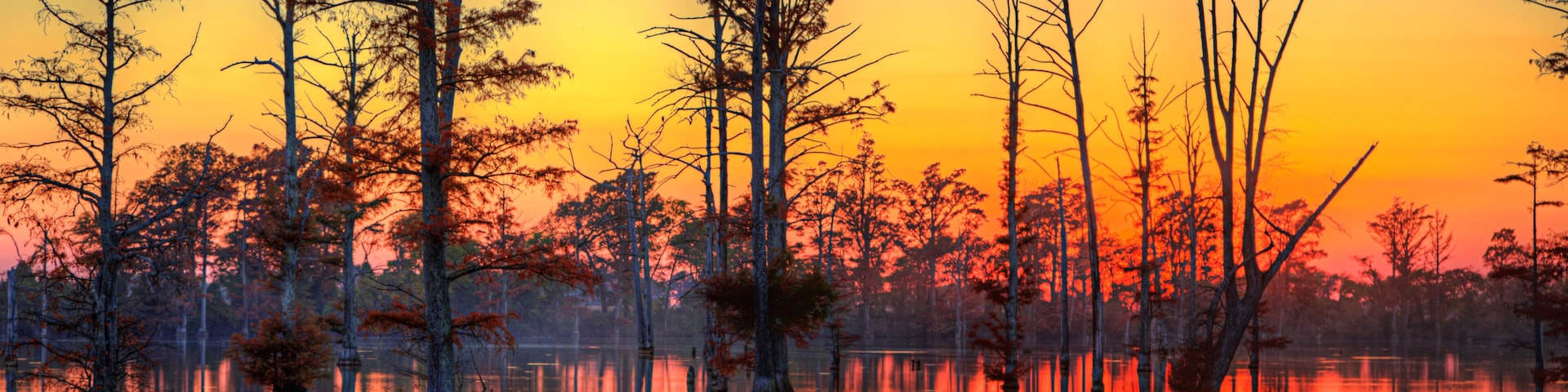 A sunset over a calm lake with tall trees reflected in the water.