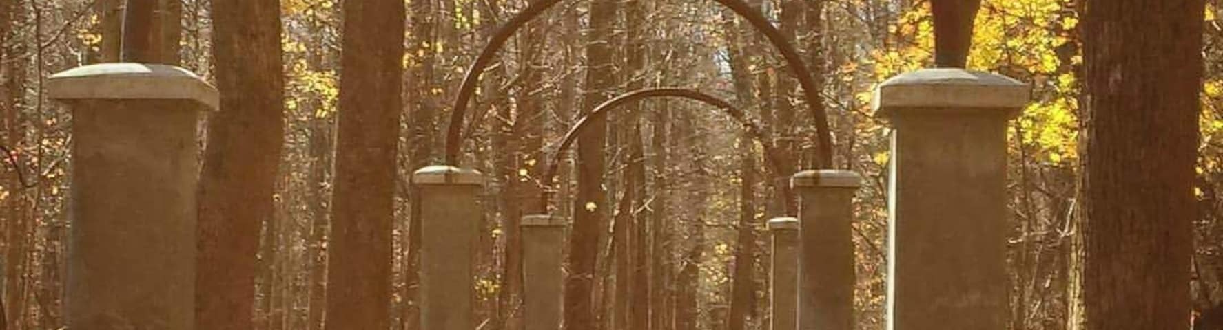 This is such a great kept little.secret in Indiana ! It's located in the Charlestown state.park, a good little.hike and you find Rose.Island, right next to the Ohio River. It is an abandoned amusement park That was destroyed from a flood in the 30s. All that is left are skeletons of several areas of the park , and information signs and articles , with old.pictures to tell you what you are looking at ! It's also home to the remains of the first cement, filtered swimming pool in the Midwest ! This walkway was called something like the wall of the roses , don't quote me ! Just breathtaking in the fall!