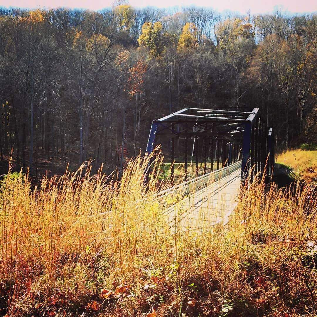 Bridge located in Charlestown State park , rakes you into Rose.Island, the abandoned amusement park ! 