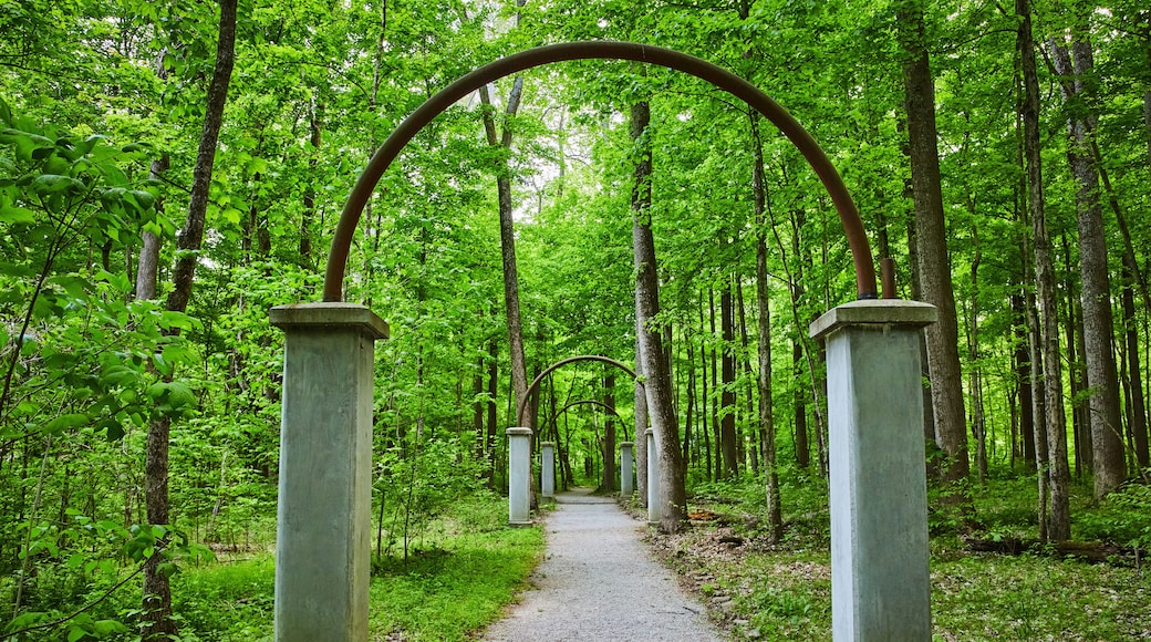 Walkway of roses, Rose Island park, forest, woodland, stone arches, archway, trail ending in woods