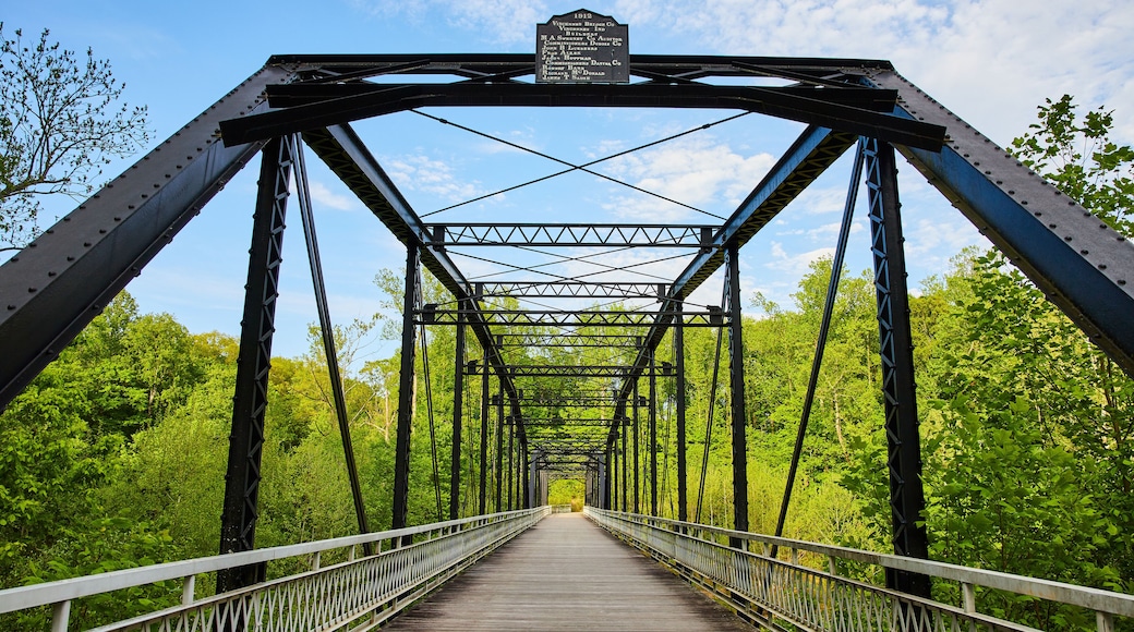 Lush, green forest wall behind large dark metal bridge, black beams, blue sky, woodland background