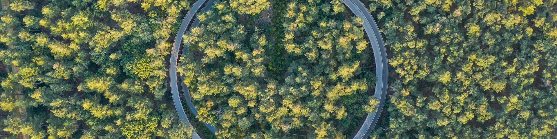 Une vue aérienne d’une route circulaire serpentant à travers une forêt dense.