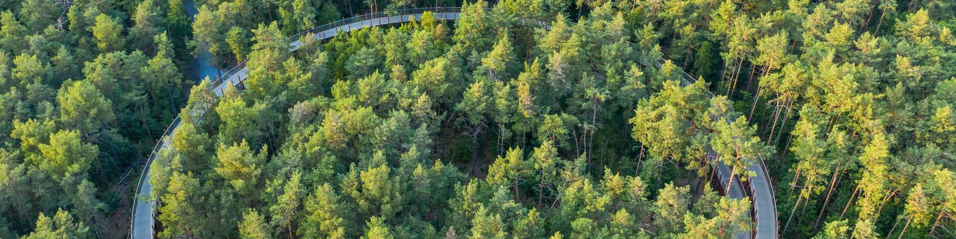Aerial view of Fietsen door de Bomen, a walking path in a garden, Hechtel-Eksel, Limburg, Belgium.