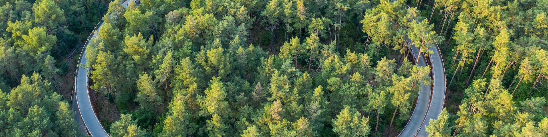 Aerial view of Fietsen door de Bomen, a walking path in a garden, Hechtel-Eksel, Limburg, Belgium.