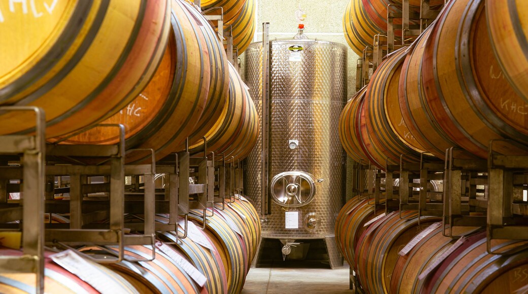 modern wine cellar in a winery with wooden barrels and stainless steel silos