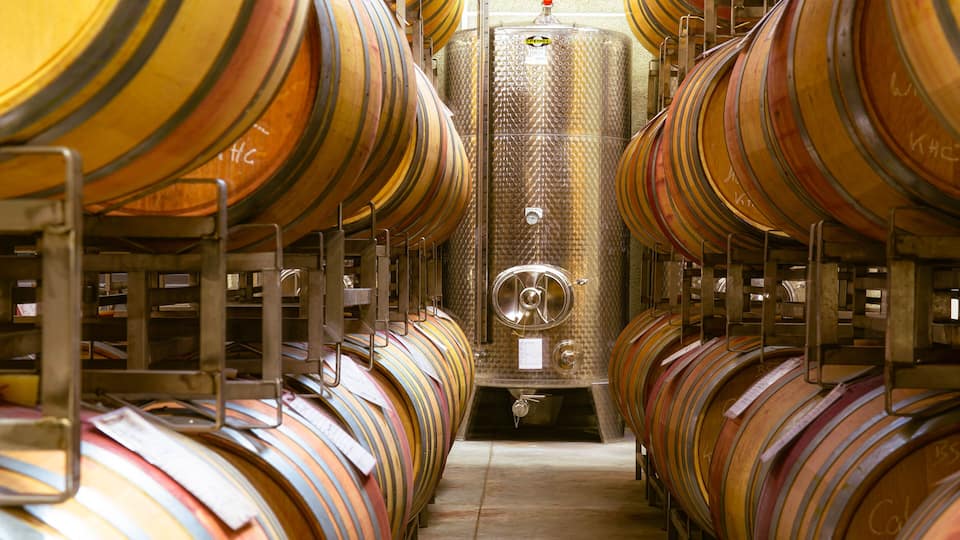Rows of wooden barrels in a storage facility.