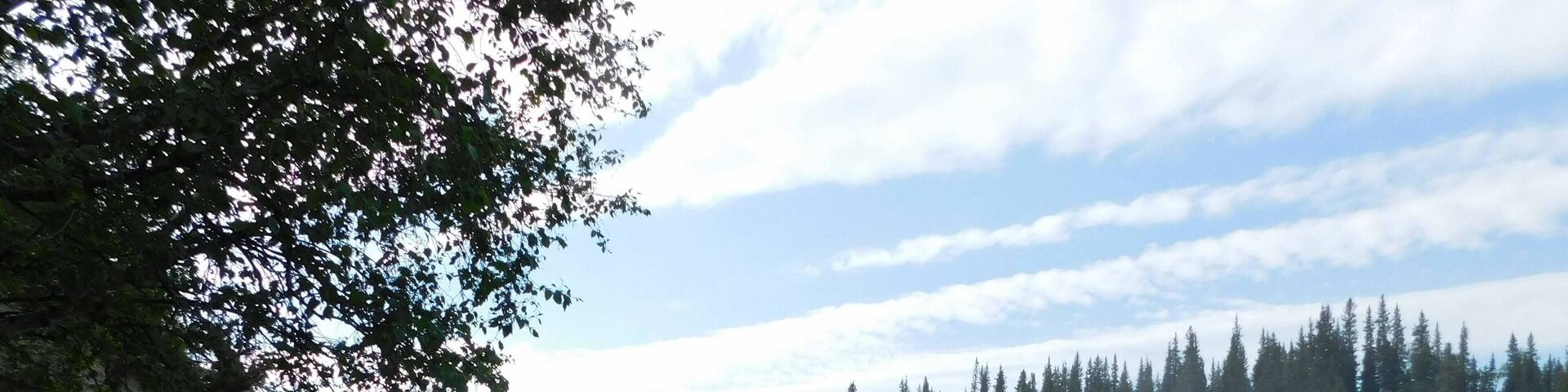 The falls from a ground view. You can climb/hike to the bottom of the falls, they are to strong to go behind, but it is amazing to be beside. The rock behind the falls is filled with shell fossils.