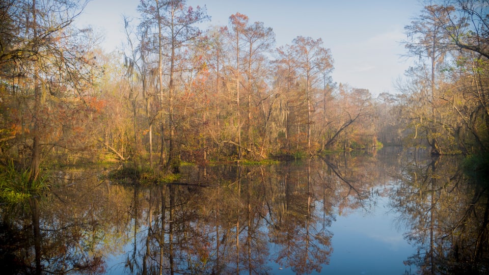 A calm lake surrounded by trees reflecting the sky.