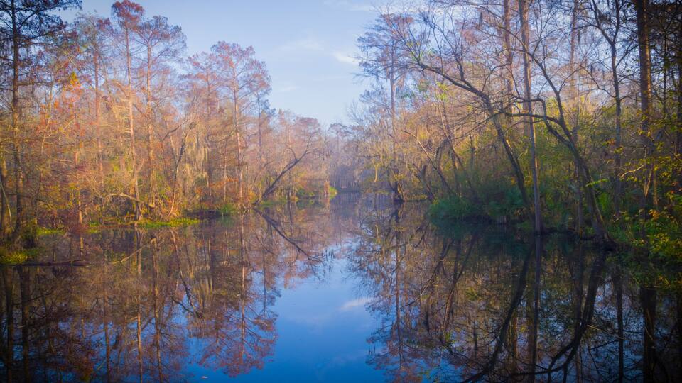 A calm river reflecting trees with autumn foliage.