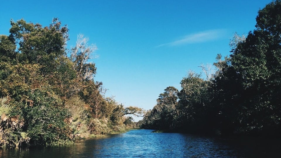 A river flanked by dense foliage under a clear blue sky.