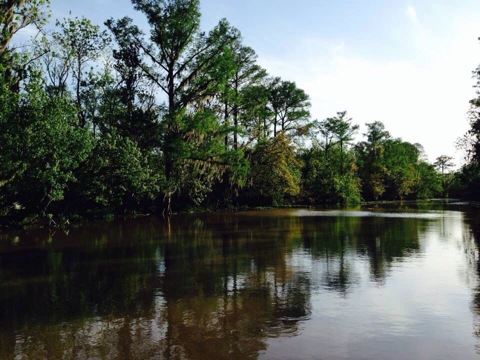 That Louisiana bayou. ❤️