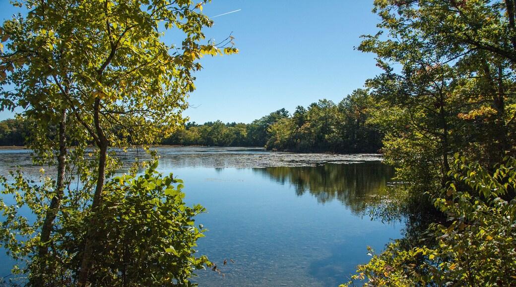 Leach pond in Borderland State Park